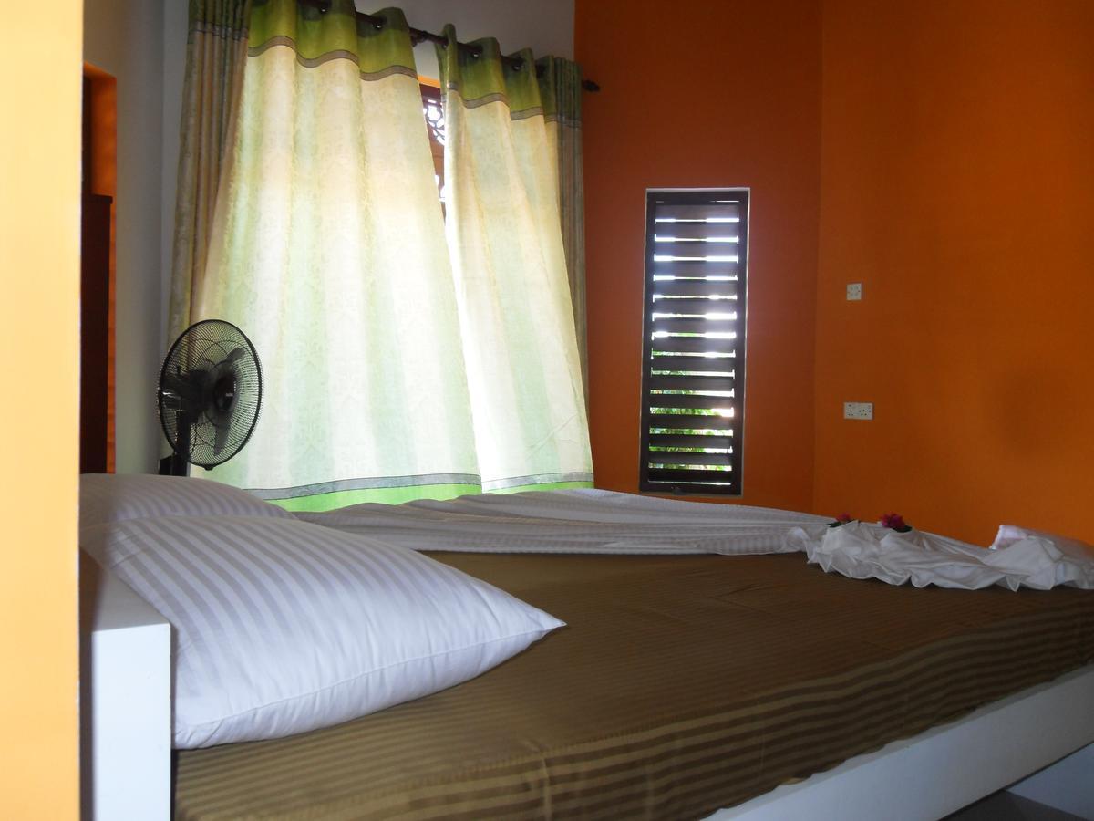 Bee Nest Bed & Breakfast Negombo Zewnętrze zdjęcie