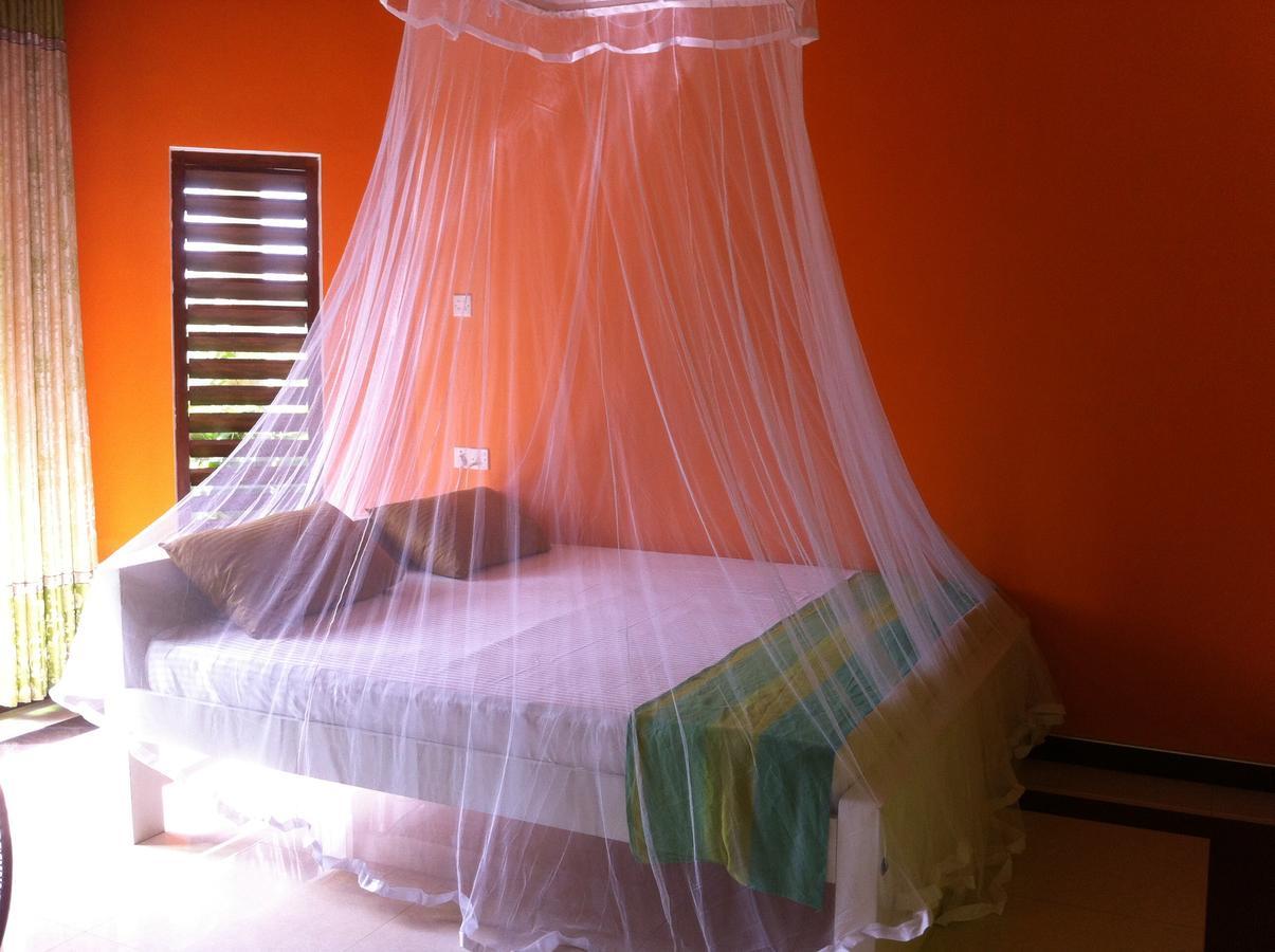 Bee Nest Bed & Breakfast Negombo Zewnętrze zdjęcie
