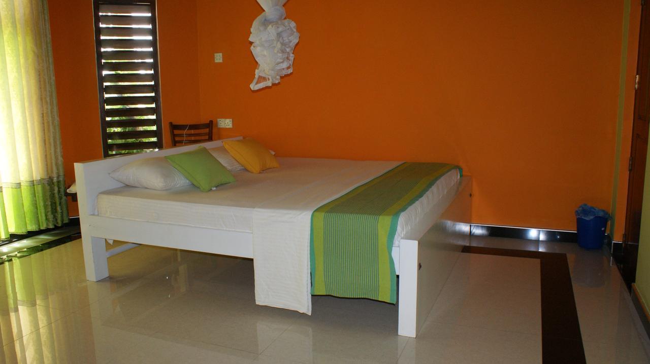 Bee Nest Bed & Breakfast Negombo Zewnętrze zdjęcie